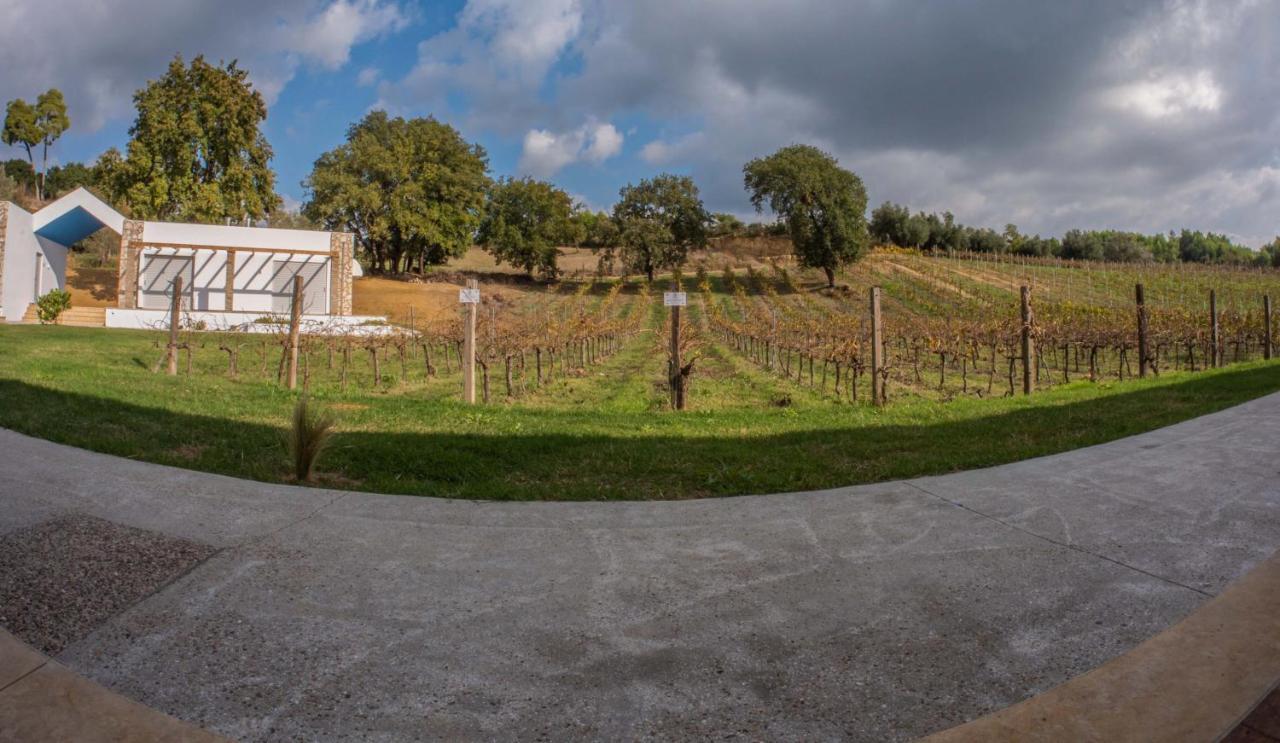 Atrium Vinea Brintziki Winery Smila Exterior foto